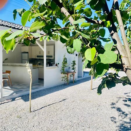 Airport Blue Eye Apartment Dalaman Best Location Also Suitable For Day Rentals Ideal For Air Travelers, 5 Km Close To Airport Eksteriør bilde